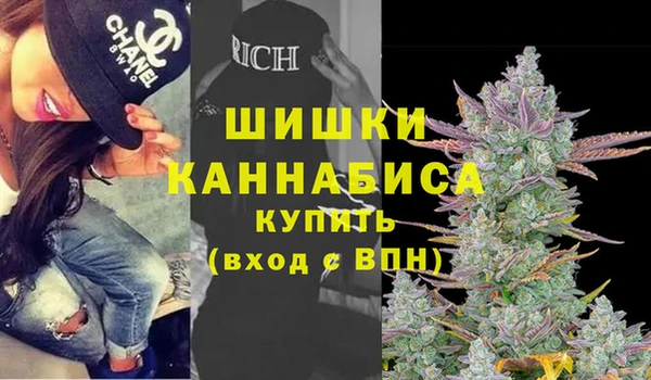 мдпв Богданович