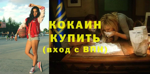 мдпв Богданович