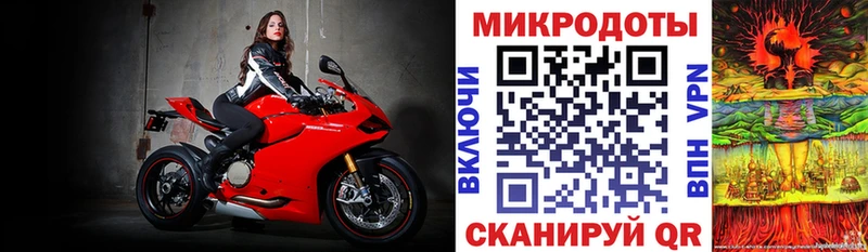 ОМГ ОМГ зеркало  Малаховка  Псилоцибиновые грибы Psilocybe 